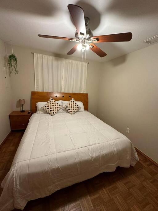 Mcallen 4Br With Pool, Shopping & More エクステリア 写真