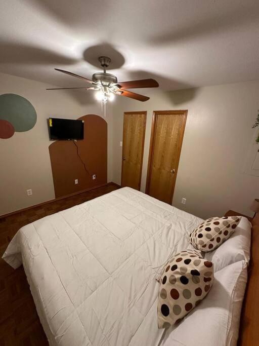 Mcallen 4Br With Pool, Shopping & More エクステリア 写真