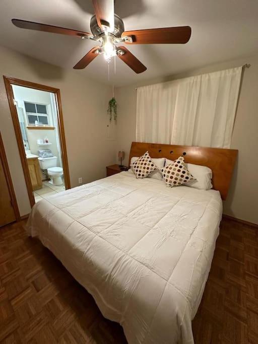 Mcallen 4Br With Pool, Shopping & More エクステリア 写真